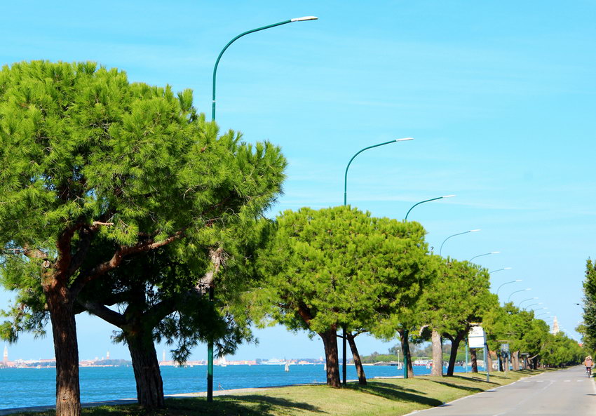 Lido e Pellestrina